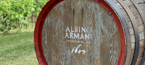 Albino Armani Pinot Grigio Corvara 2021 – wine4u