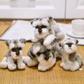 Realistic Schnauzer puppy plushies
