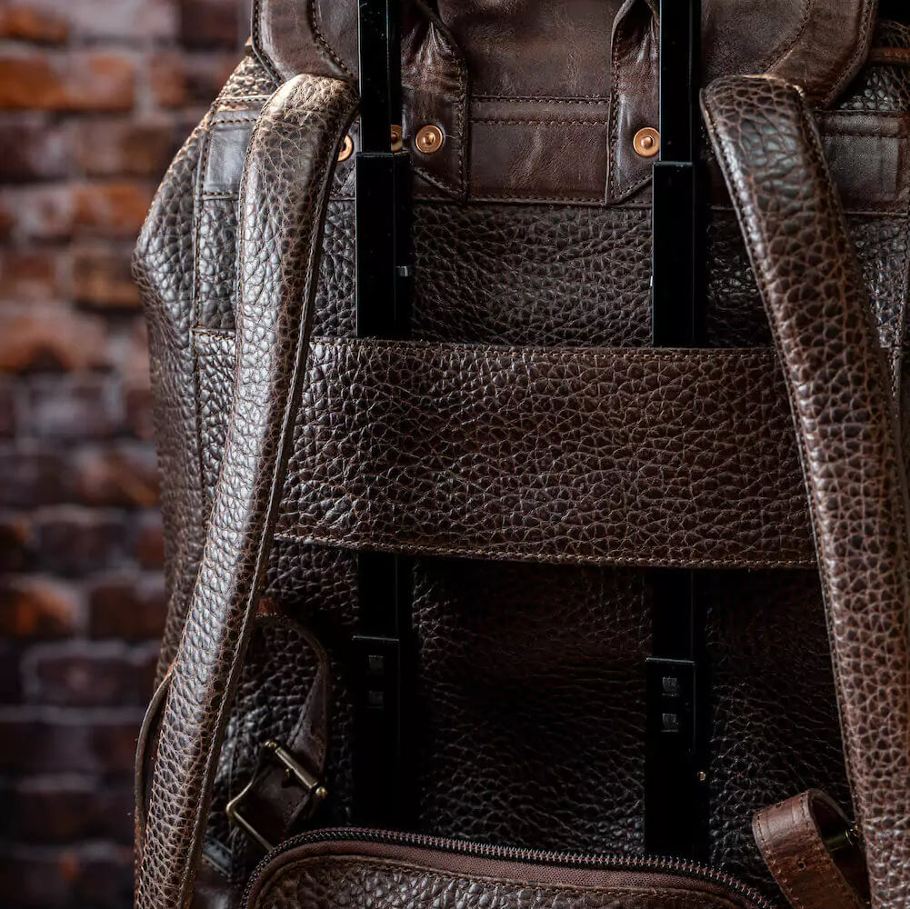 Leather Backpack by Theodore