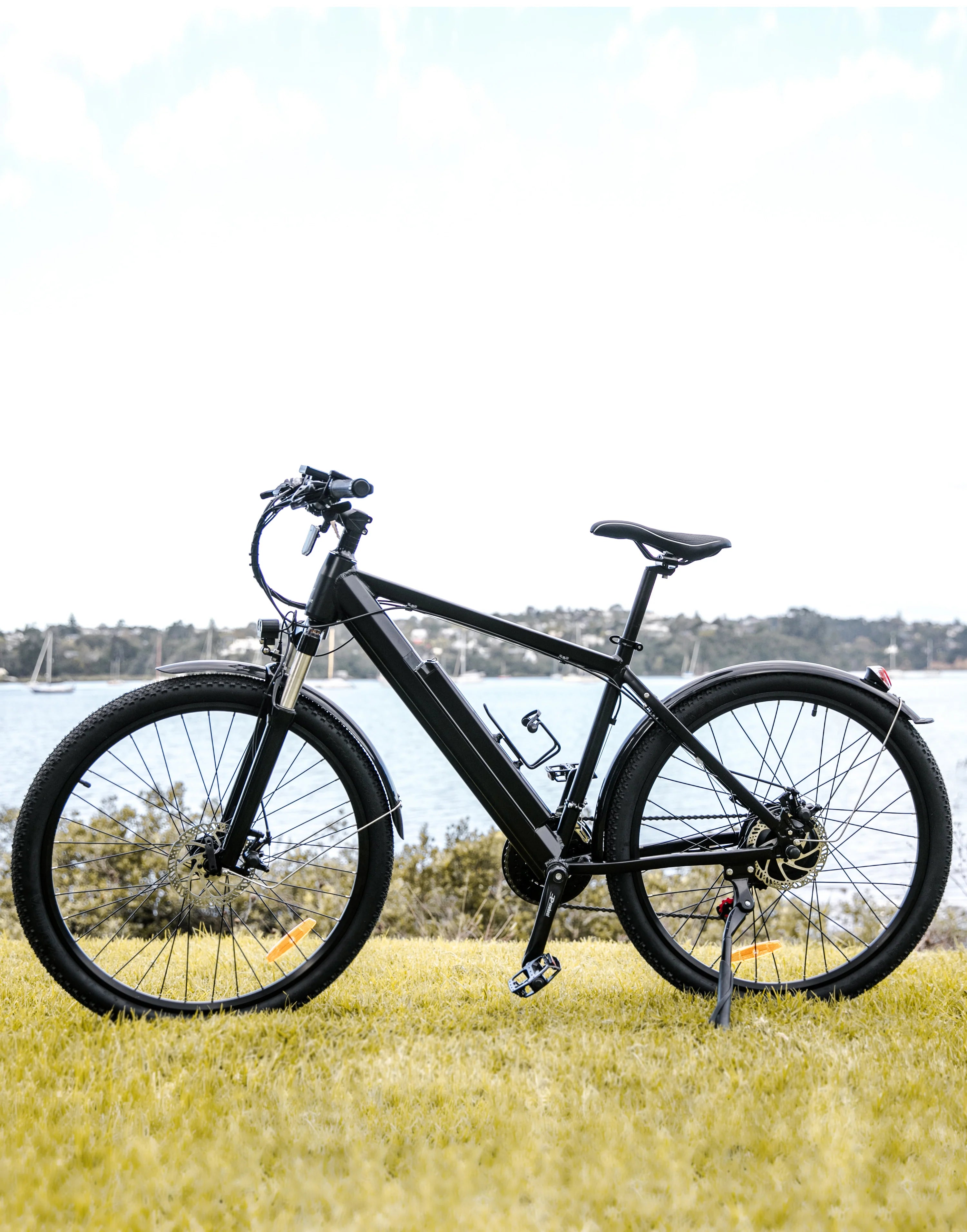 Electric bike color black