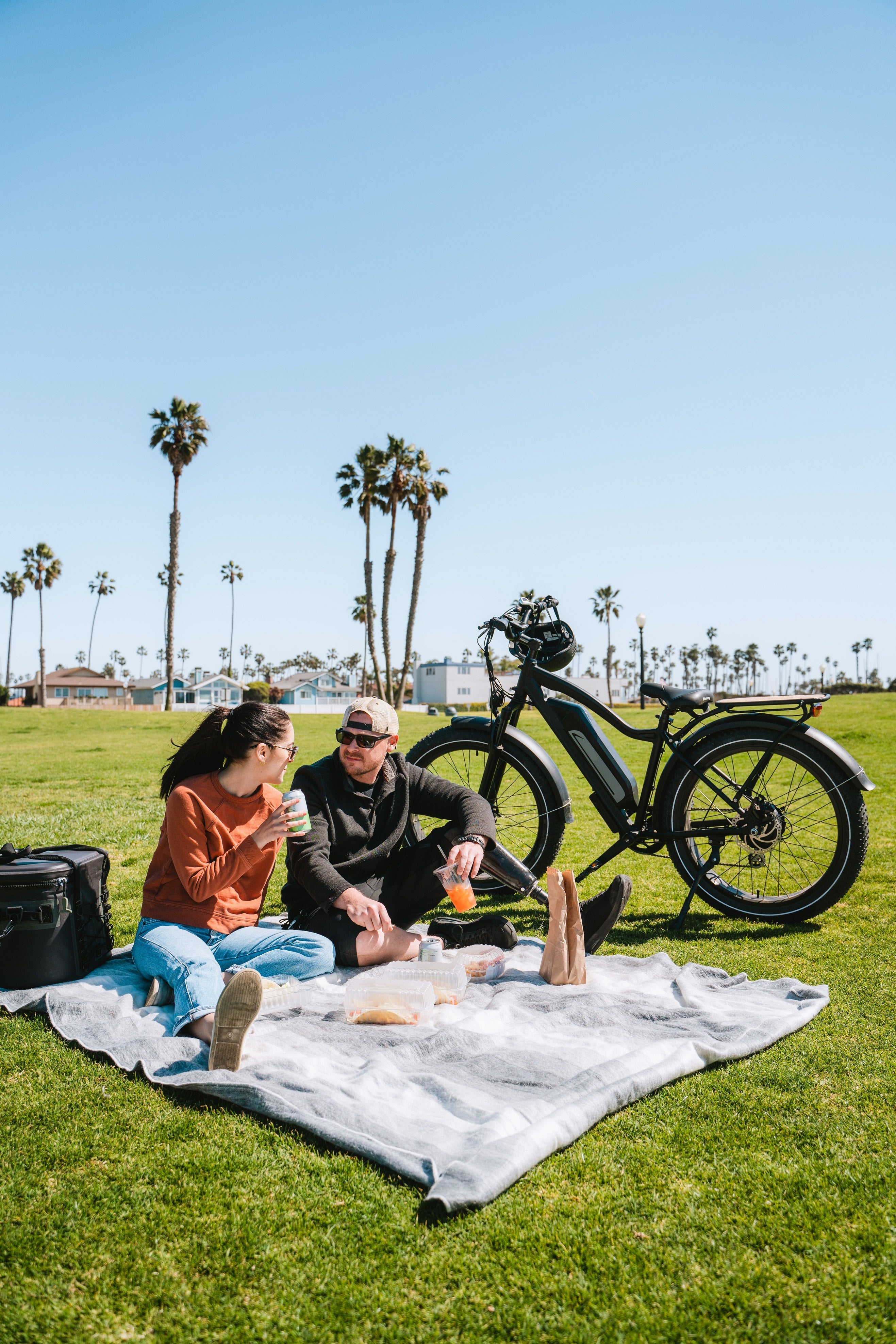 couple picnic with ebike