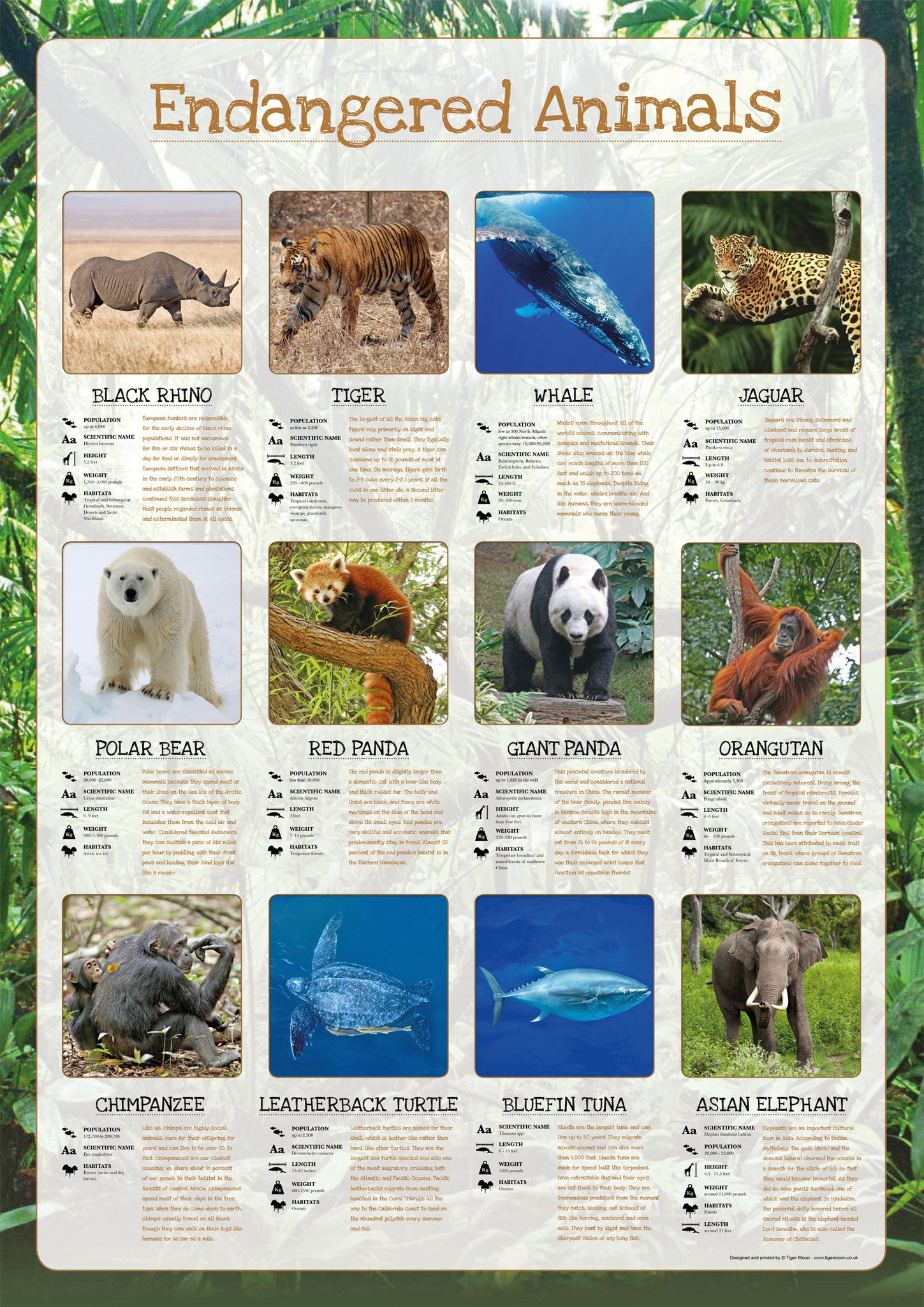 endangered-animals-list-with-pictures-and-names