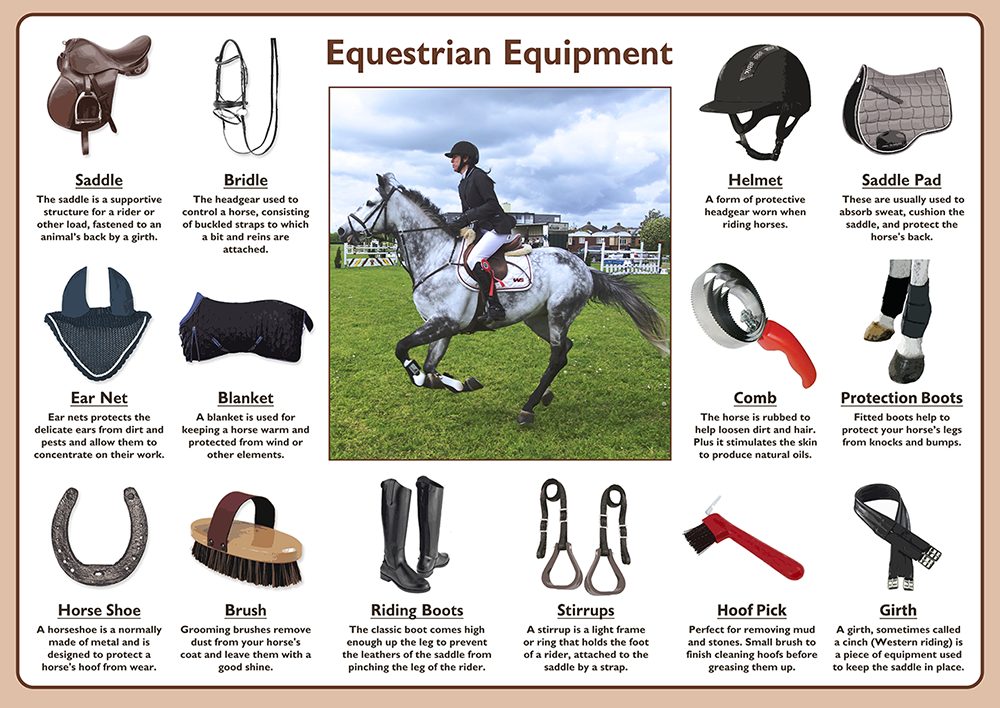 horse equipment