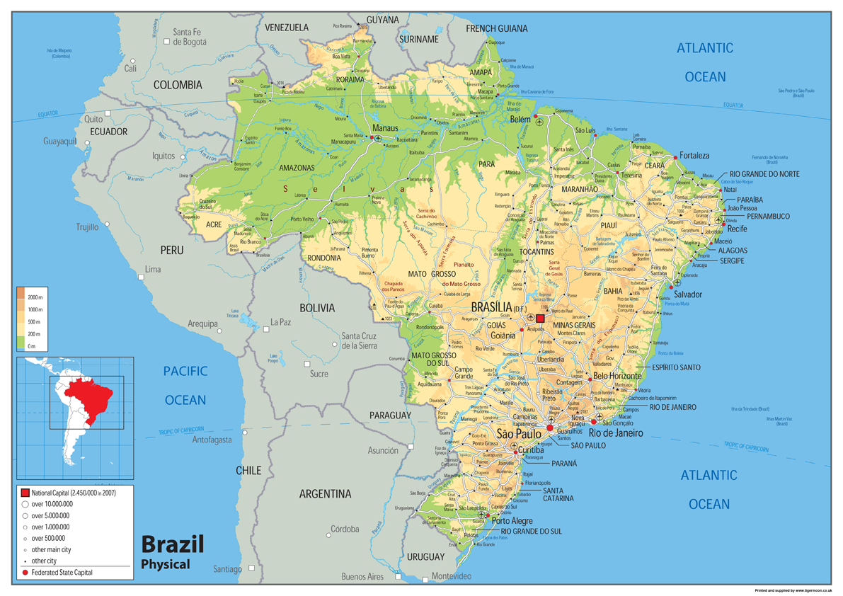 Brazil Physical Map Tiger Moon