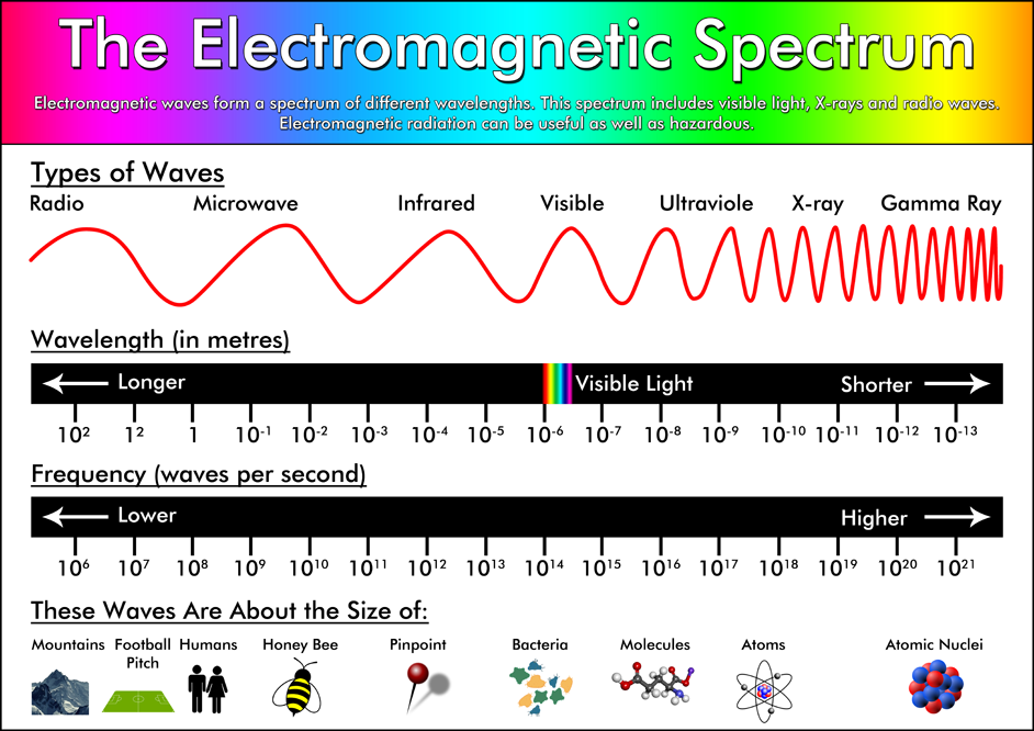 The Electromagnetic Spectrum Poster – Tiger Moon