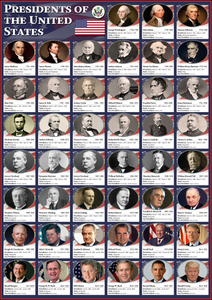 Presidents of the United States Poster – Tiger Moon