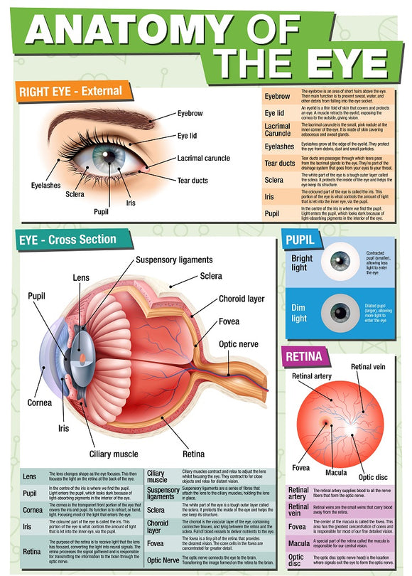 before your eyes explained