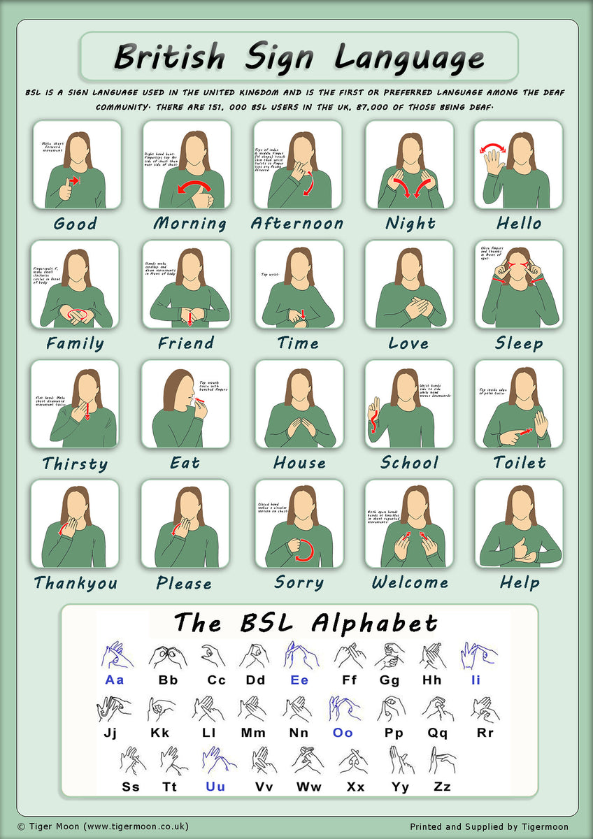 British Sign Language - Basic Sign and Alphabet Poster - Paper Laminat ...