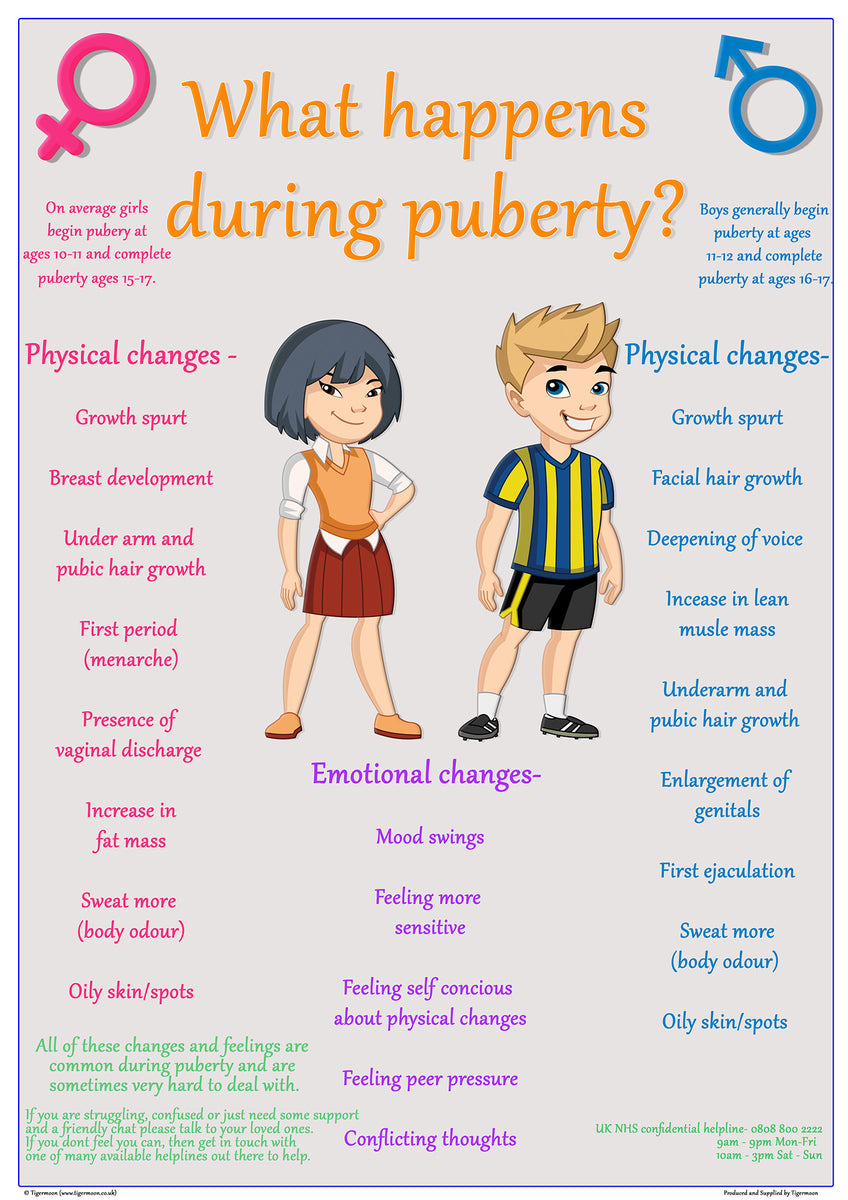 What happens during Puberty? Poster - A2 – Tiger Moon