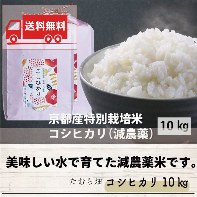 送料無料】新米 令和5年産 丹後産コシヒカリ (5kg) 京都丹後地方で栽培