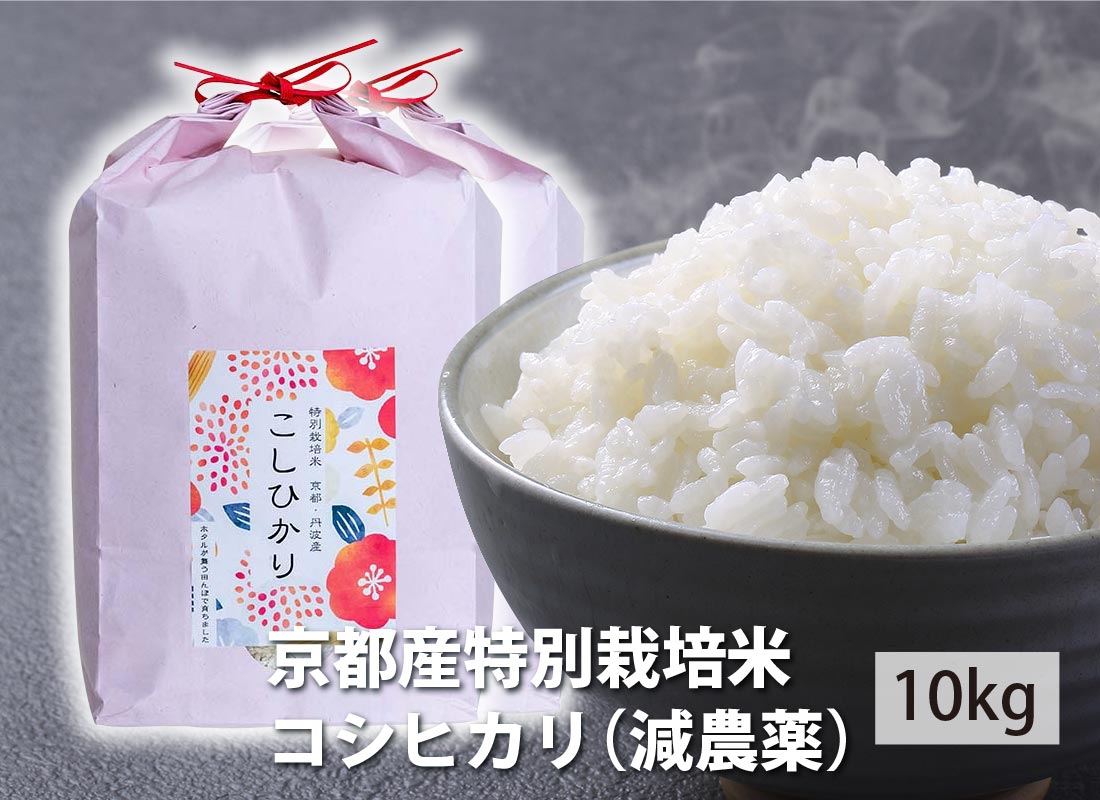 令和5年産京都府「丹後産コシヒカリ」玄米30㎏ 送料・標準精米無料