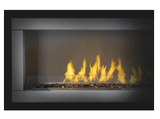 Napoleon Galaxy 48 See Through Outdoor Gas Fireplace GSS48STE STAINLESS STEEL BURNER