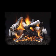 Heatmaster Vented Stadium 30-inch Burner SBSREM30 24" Savannah River Birch Vented Logs SRB24 Flame Authority