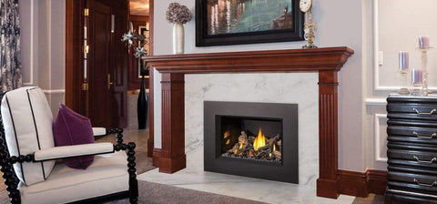 Napoleon Roxbury 3600 GAS Fireplace Insert GI3600-4NSB