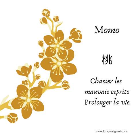 Momo peach blossoms