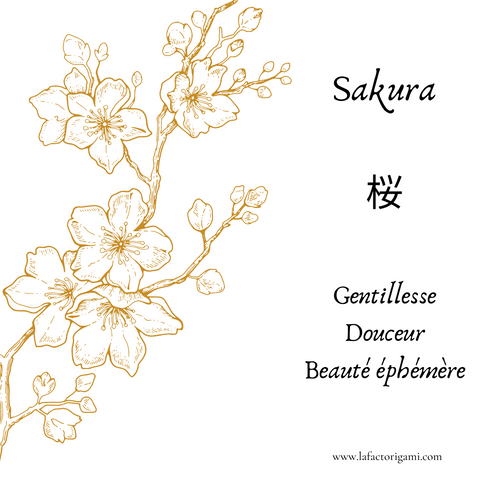 Symbolique du sakura dans la culture japonaise