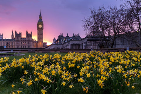 Big Ben et le Parlement