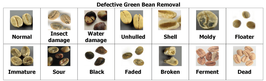 Great Bean Grading