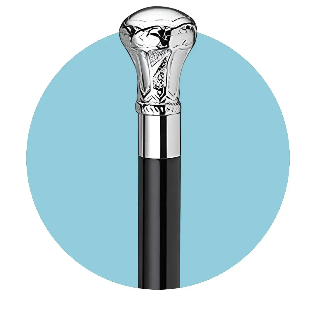 cane-Photoroom_ec254d6f-d146-41df-aecf-8e90b86a5852