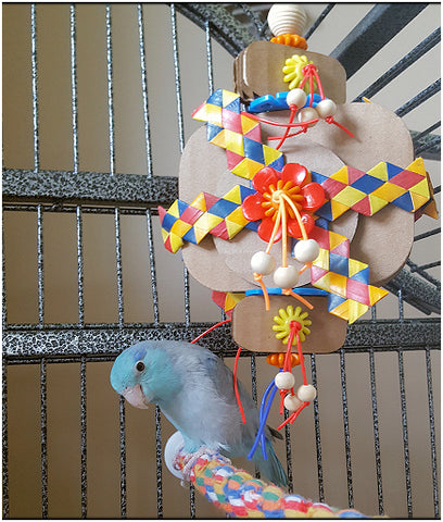 Parrotlet with Wacky Wafers shreddable bird toy by Birdy Boredom Busters