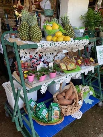 Fresh produce at Shelley’s Garden Center