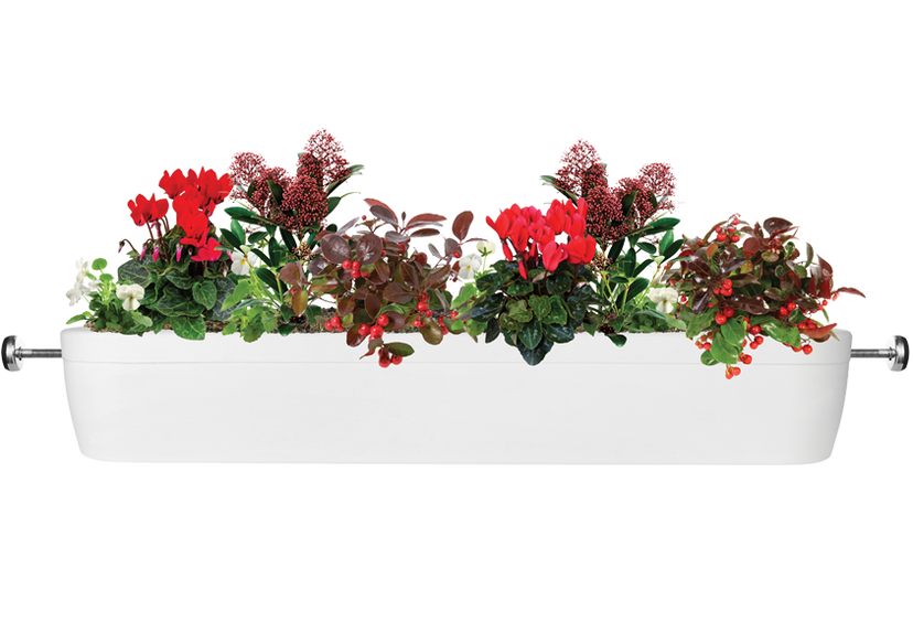 Join Us - Beautifully Planted Seasonal Window Boxes – Window Fleur