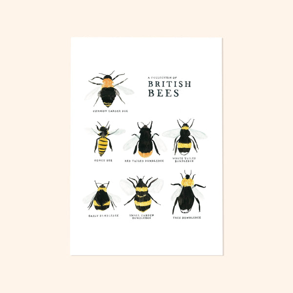 'British Bees' Art Print
