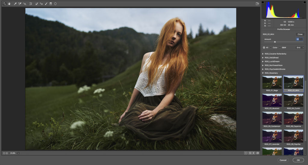 Captura de pantalla de Lightroom Luts con una mujer de blanco en las colinas