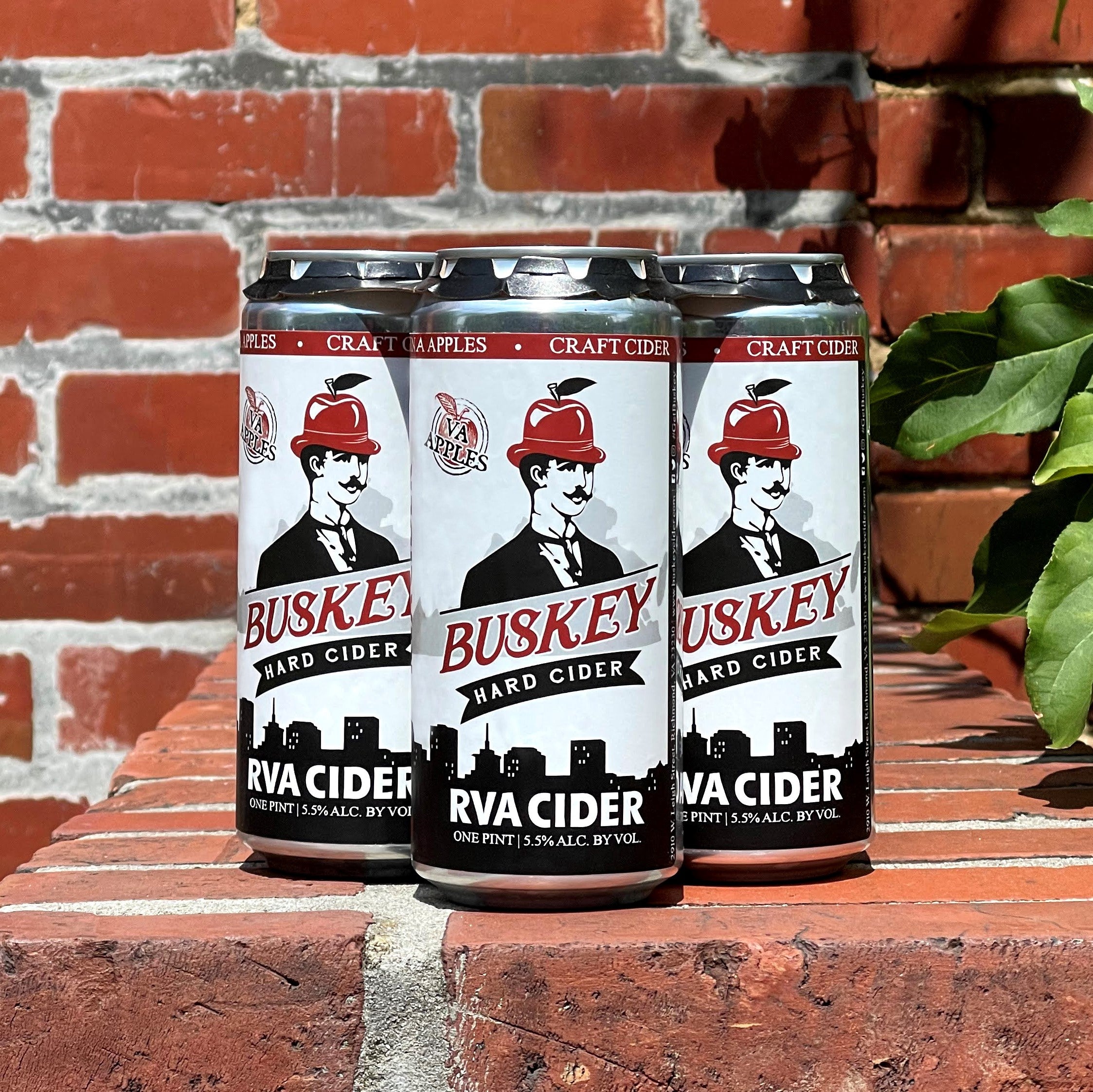 Buskey RVA Cider 6-pack cans
