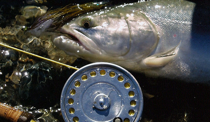 Skagit River Trout Fishing Tips – Sea-Run Fly & Tackle