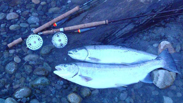 Early Season BC Steelhead Fishing – Sea-Run Fly & Tackle