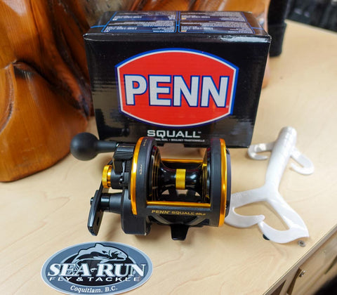 Buy PENNSquall II Lever Drag Fishing Rod & Reel Combo Online at