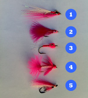 Sea-Run Fly & Tackle's Pink Salmon Top 5