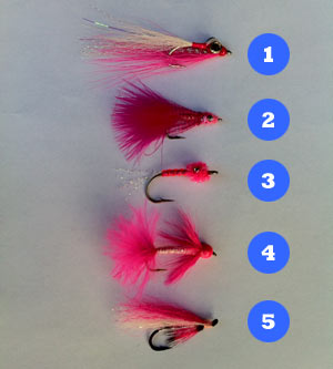 What are the Best Lures for Salmon?