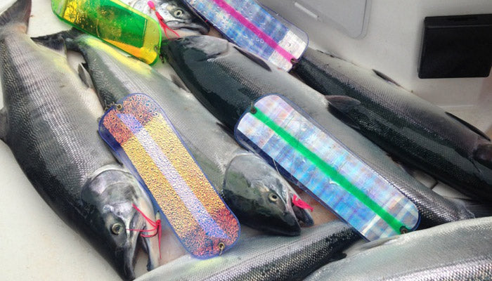 Trolling for Sockeye - Sockeye Salmon Saltwater Fishing 101 – Sea