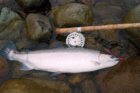 The Effectiveness of the Pink Worm for Steelhead – Sea-Run Fly