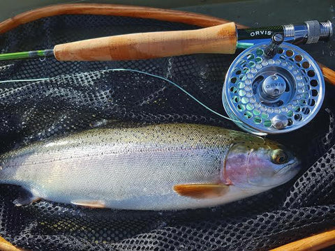 Fly Fishing BC's Interior