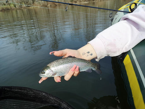 Guide to Fishing Local Lakes for Trout – Sea-Run Fly & Tackle