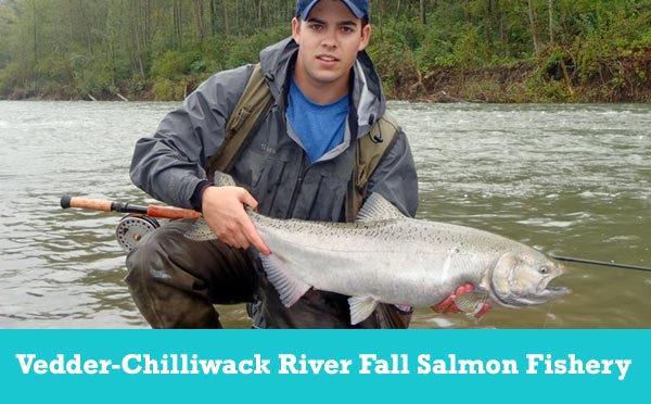 Chum Salmon Fishing 101 – Sea-Run Fly & Tackle