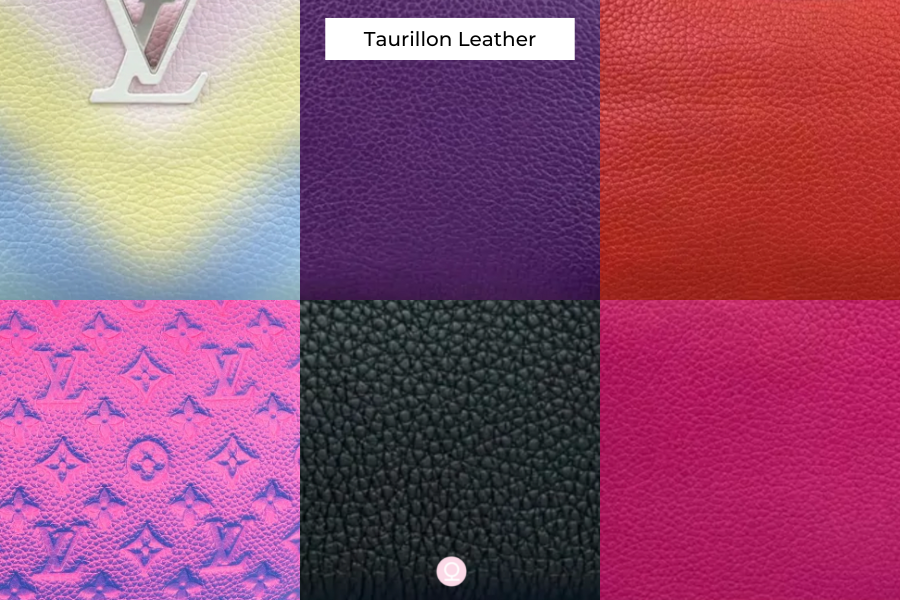 Louis Vuitton Leather Guide