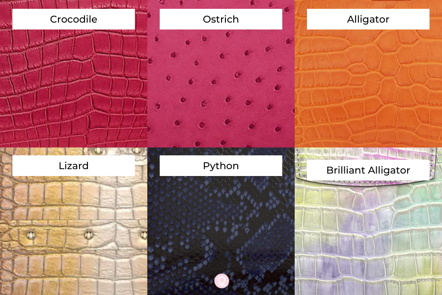 Exotic Leather: Exploring the Different Types