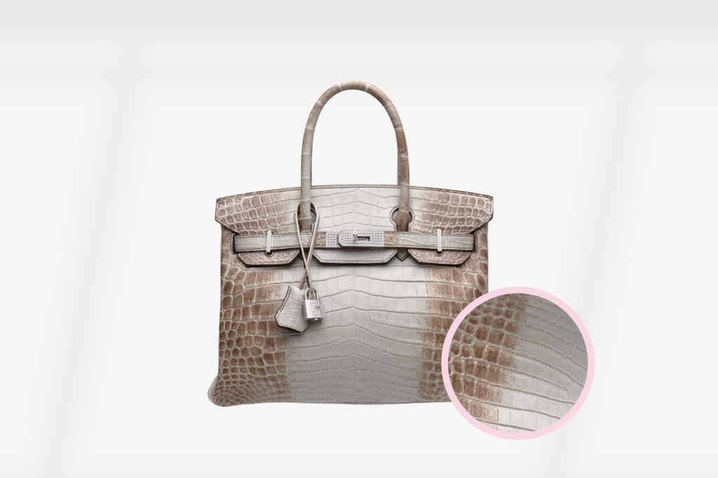 Birkin Shiny Porous Crocodile Handbag