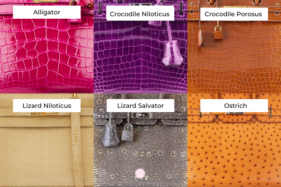 Is Hermès Lizard or Crocodile Exotic Skin More Durable, Rare, and