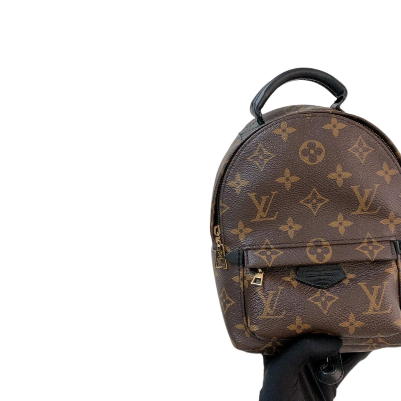 Brown Louis Vuitton Monogram Palm Springs Mini Backpack  Designer Revival
