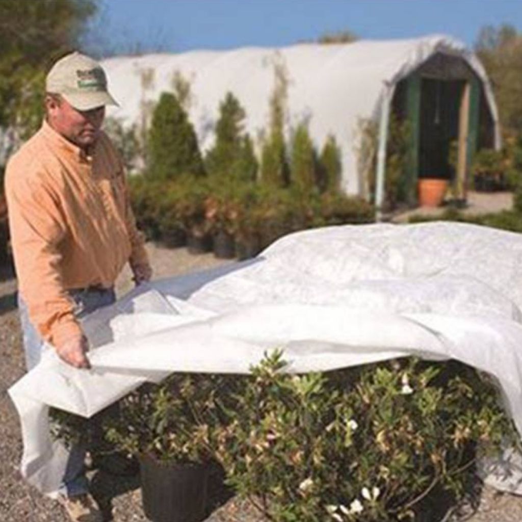 Dewitt's Ultimate Thermal Blanket - (2.5 OZ) Crop Protection & Over-Winterized Fabric