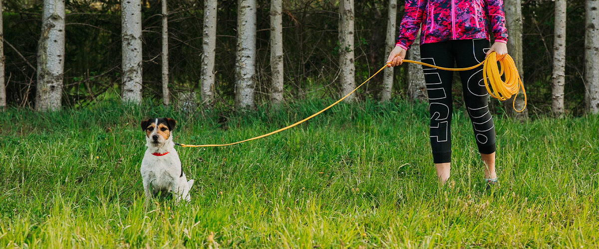 4hound tracking leash