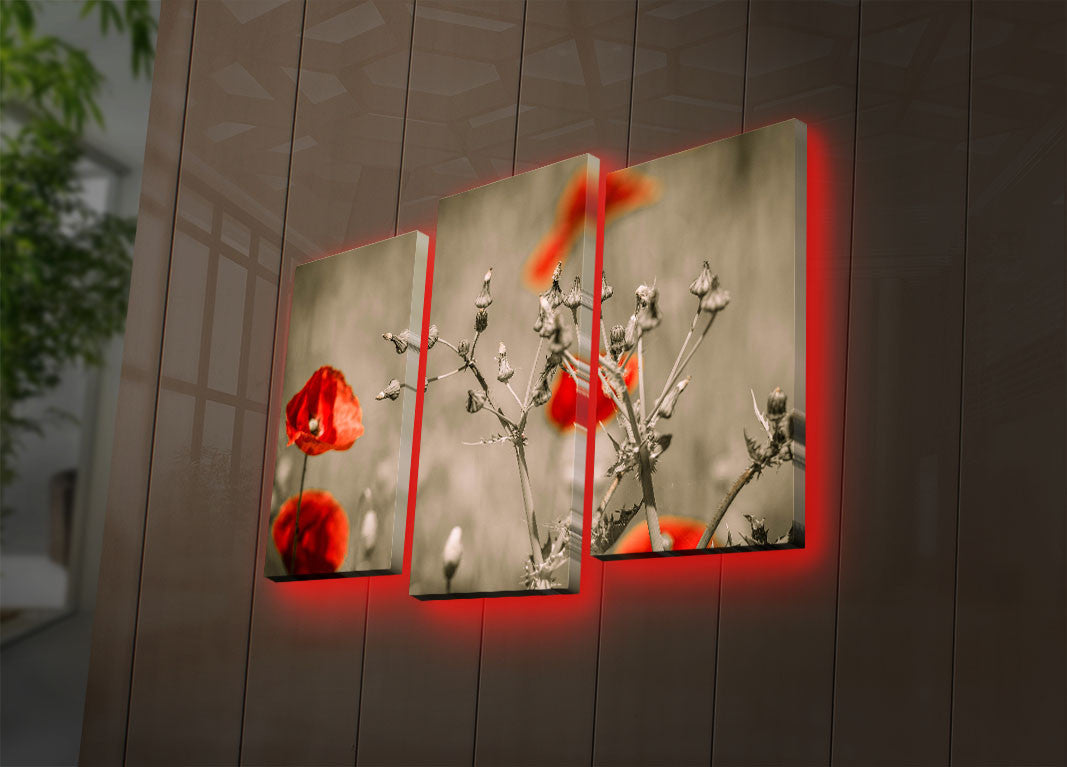 Tablou Canvas cu Led Floare Mac, Multicolor, 66 x 45 cm