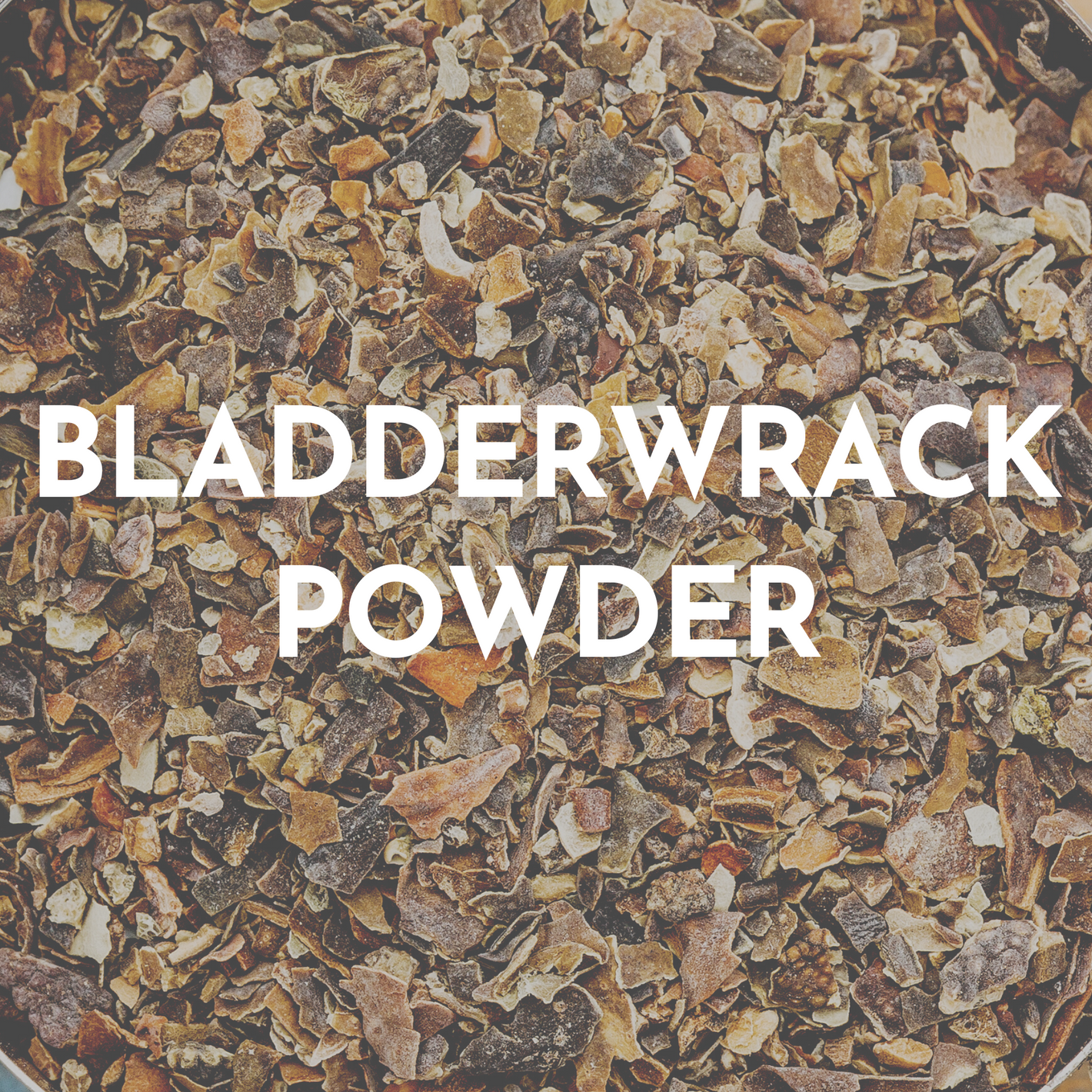 bladderwrack powder
