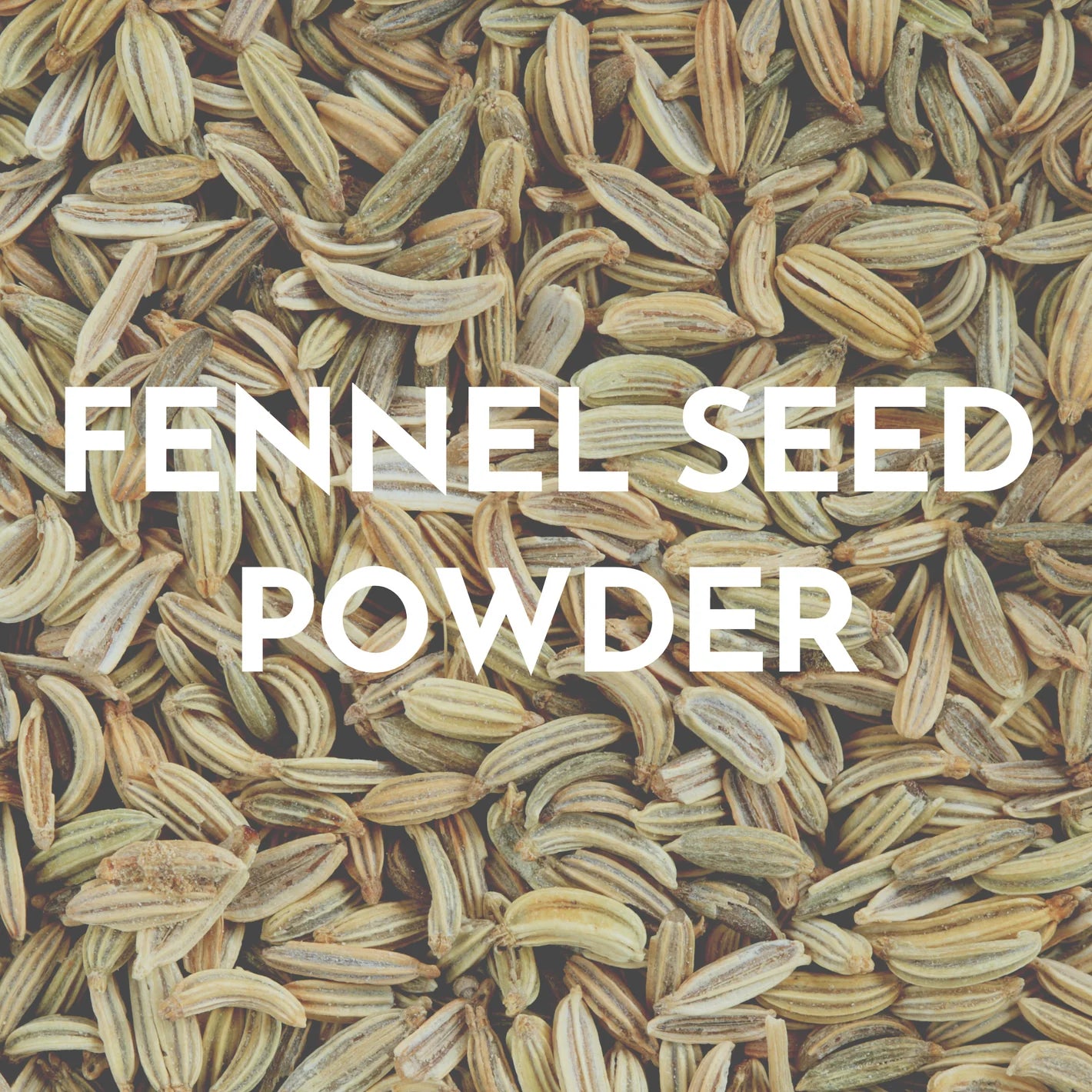 ⁣Fennel Seed Powder (saunf)