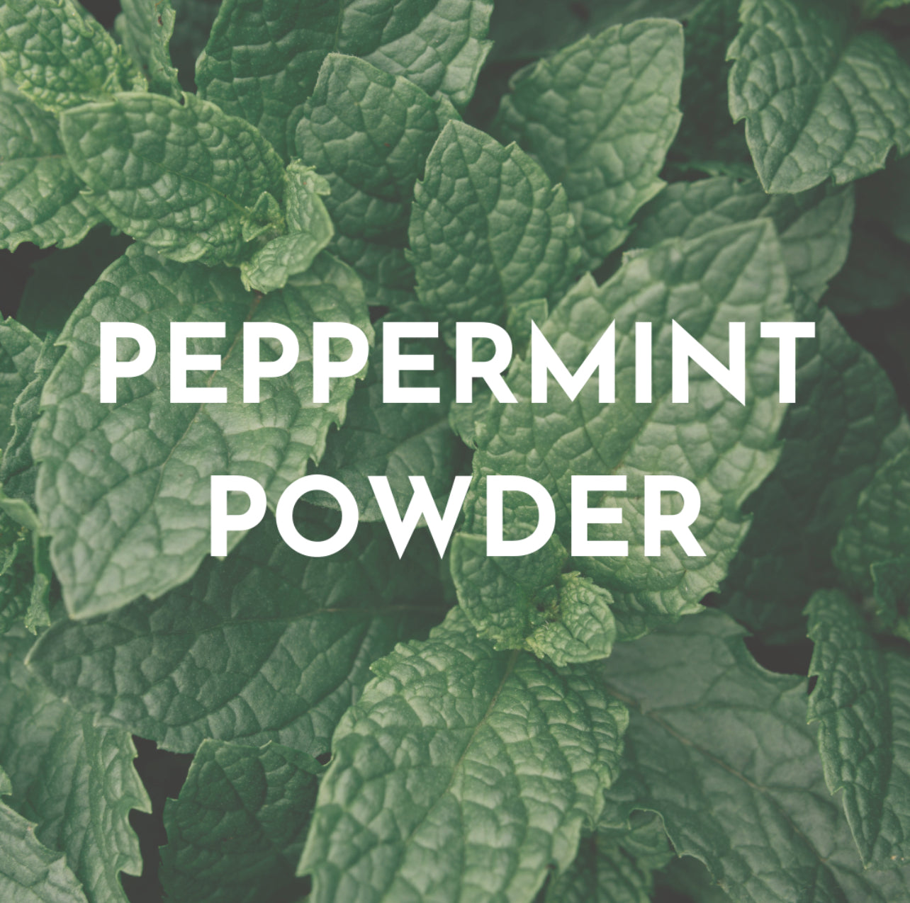 Peppermint Powder